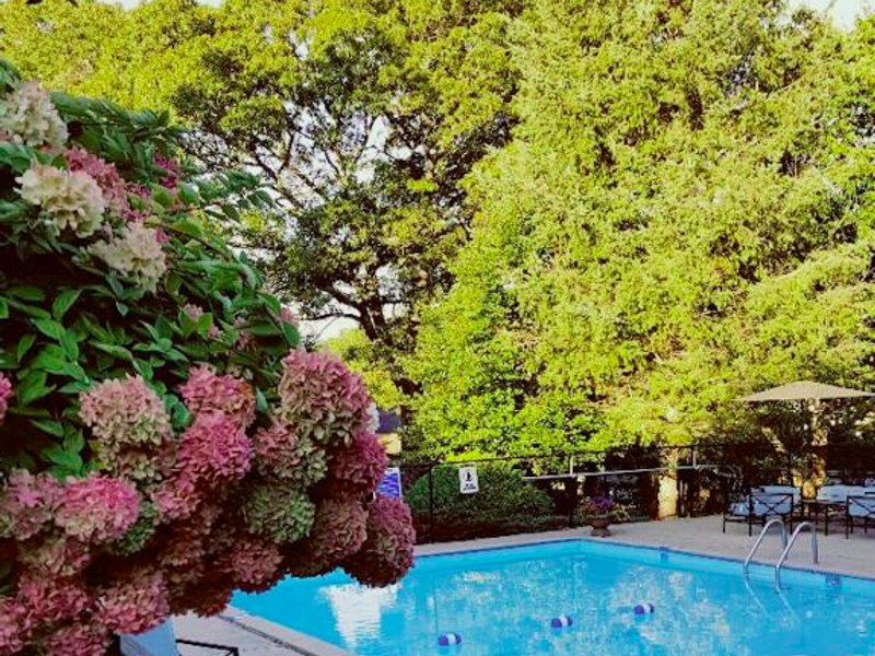 Starlight Lodge Cape Codの写真
