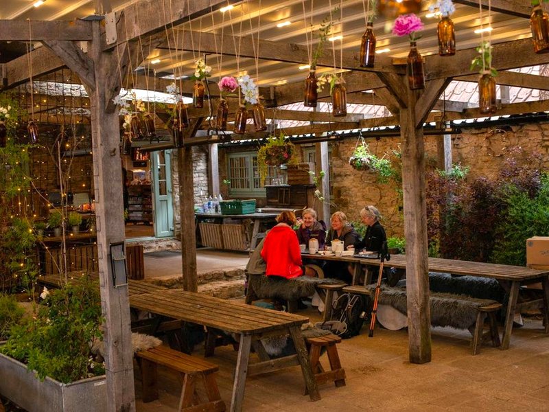 High Paradise Farmの写真