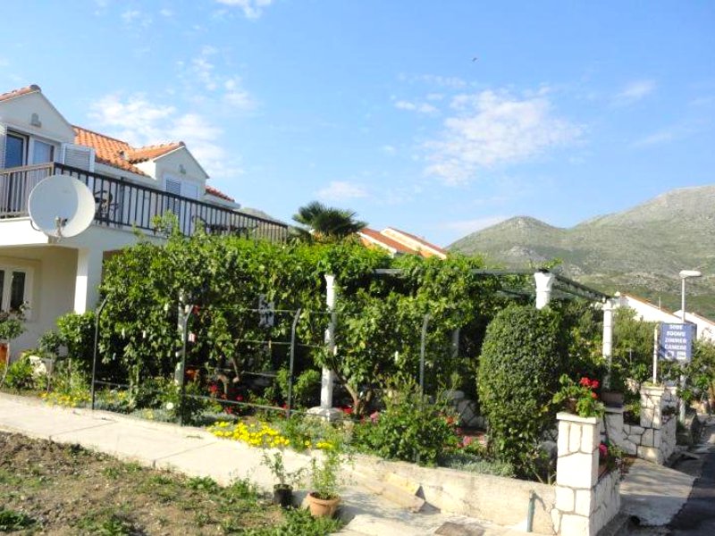 Guest House Pavkovicの写真