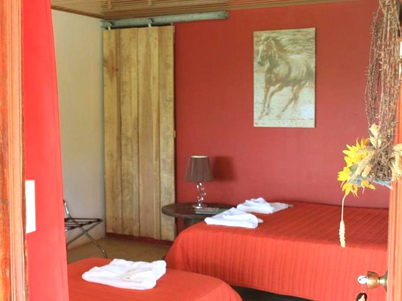 Establo Arenalの写真