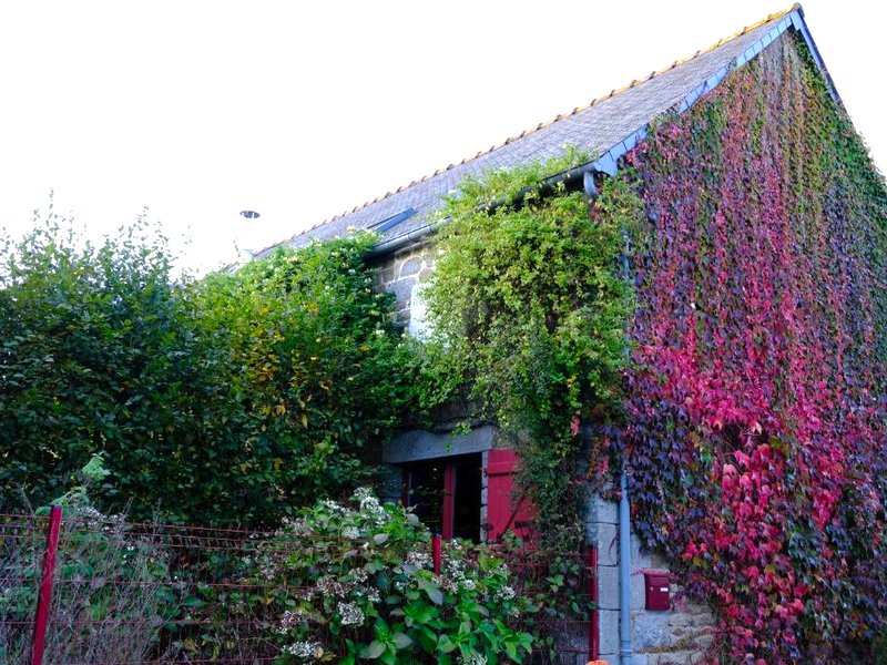 La Maison Jaune à la Janaieの写真