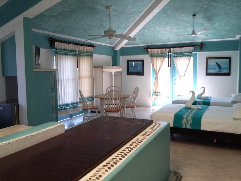 Delphinus Innの写真