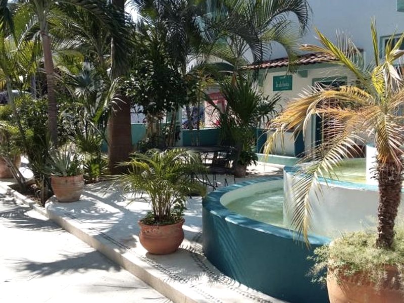 Delphinus Innの写真