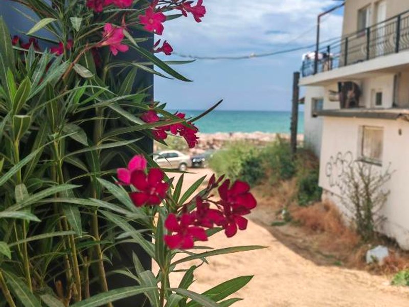 Camping by the beach Vama Vecheの写真