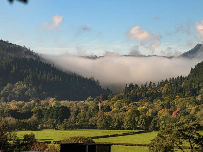 Forest Lodgesの写真