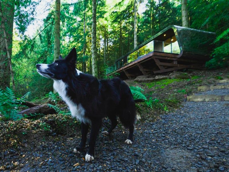 Forest Lodgesの写真