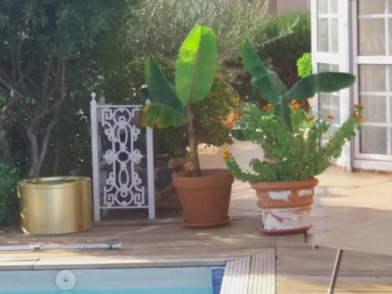 Villa los Angeles Piscine privée 16 pers (Villa los Angeles Piscine privee 16 pers)の写真