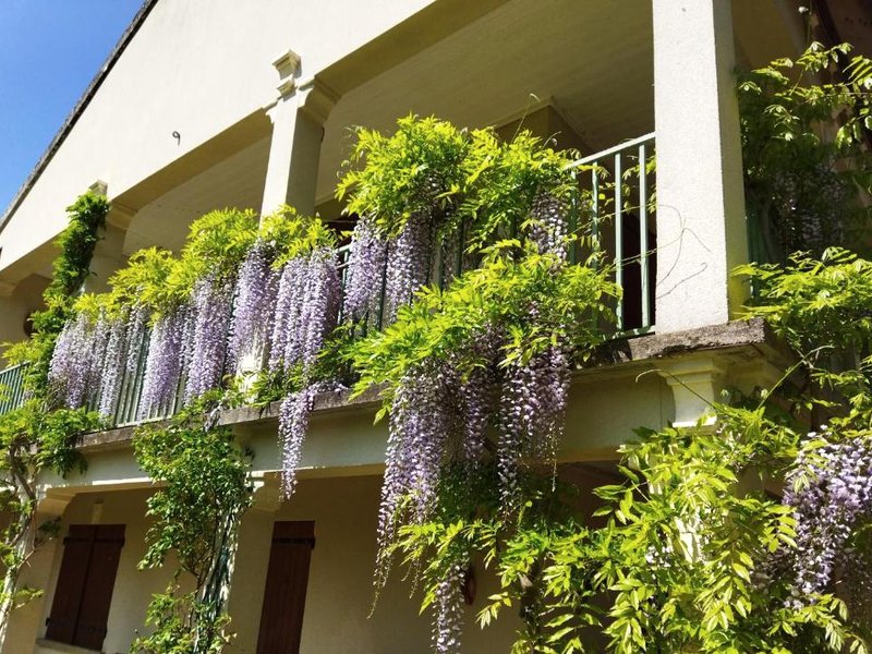 Pavillon de Diane, Le Malesherboisの写真