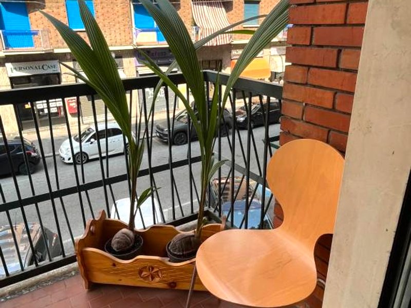 camera Santa Ritaの写真