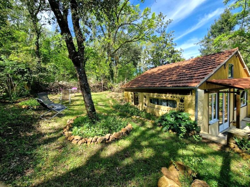 Organic and artistic homeの写真