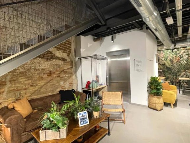 VTZ The Botanic Hostelの写真