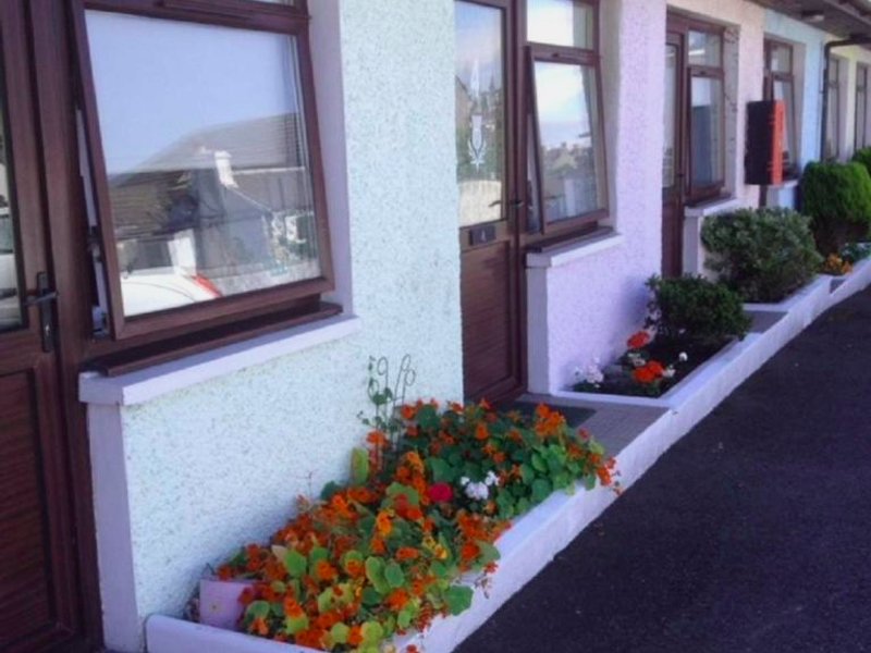 The Thistleの写真