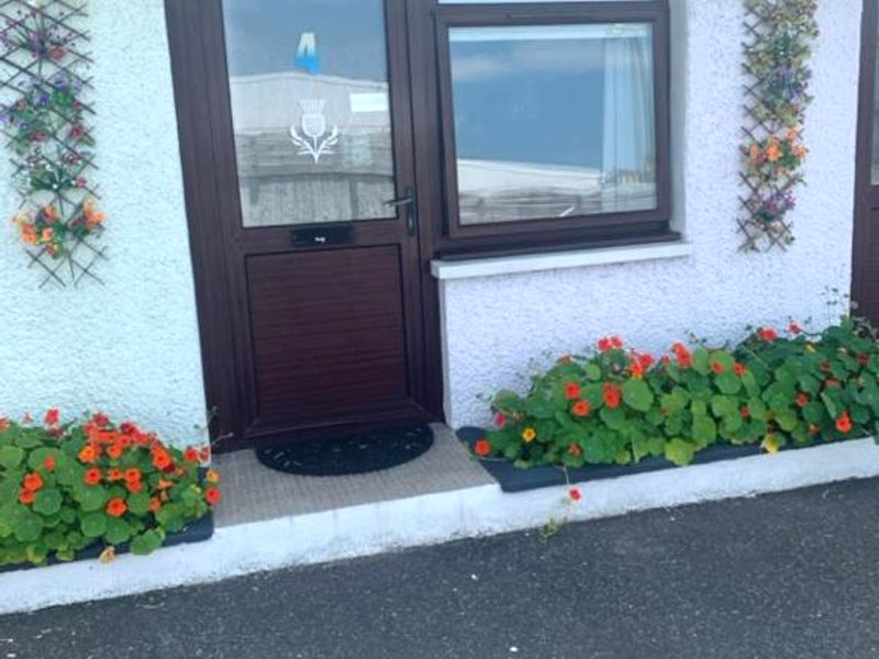 The Thistleの写真