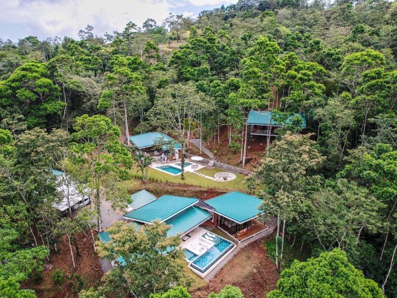 Pandanus Lodge & Retreats Bungalow Heliconiaの写真