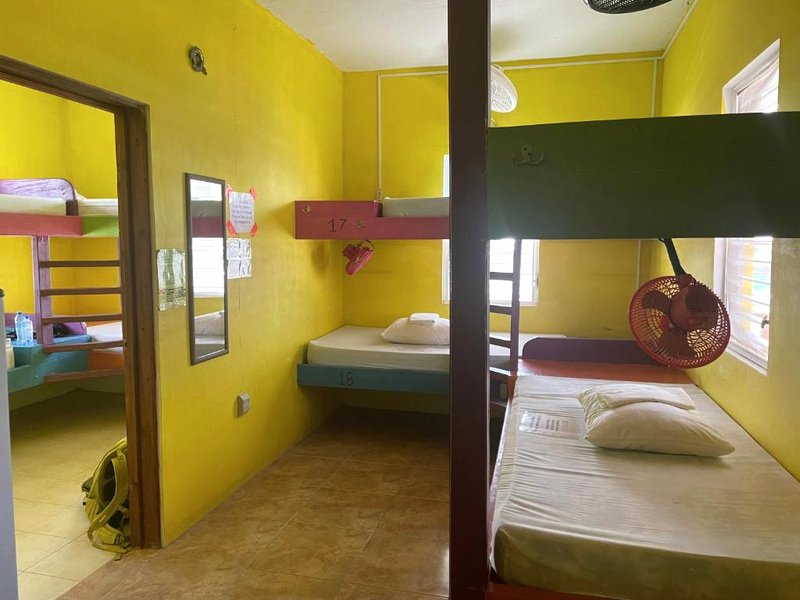 Travellers Palm Backpackersの写真