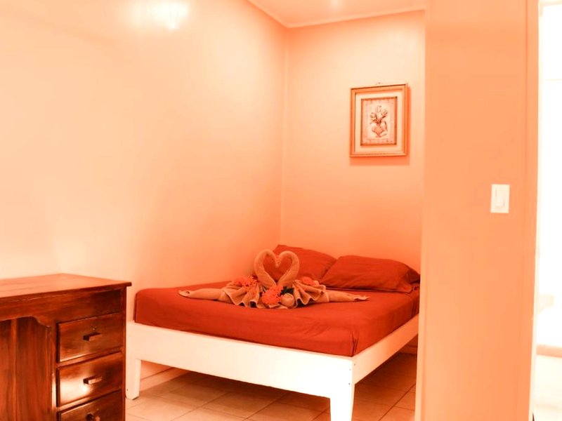 Tropical Paradise Expressの写真