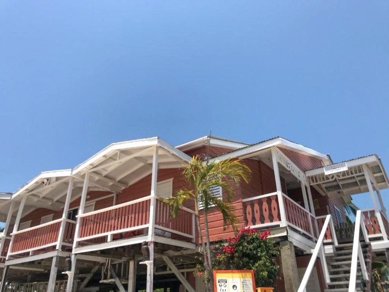 Tropical Paradise Expressの写真