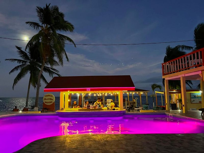 Tropical Paradise Expressの写真