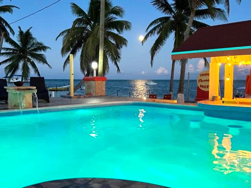 Tropical Paradise Expressの写真