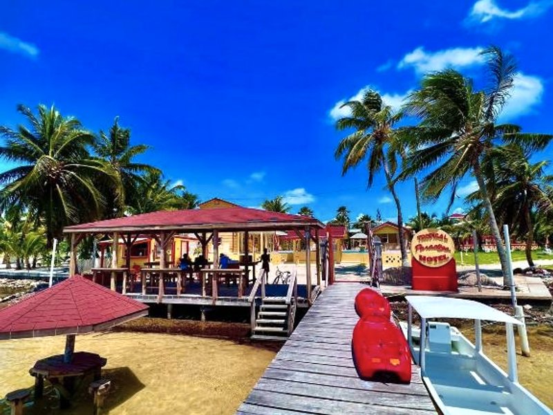 Tropical Paradiseの写真