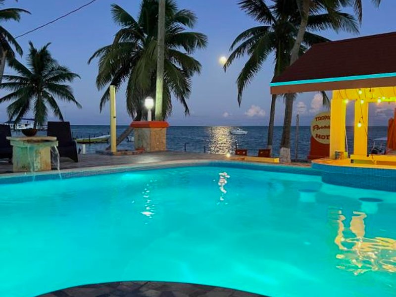 Tropical Paradiseの写真