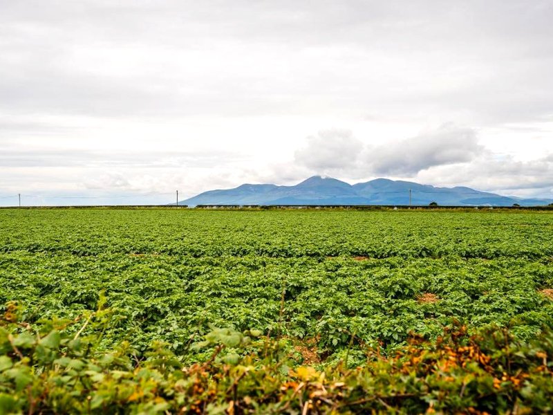 Holmestead Cottageの写真