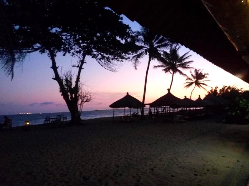 CASE de ROBINSONの写真