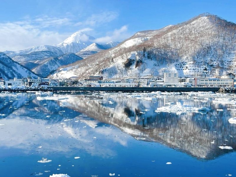 Bear Elephantの写真