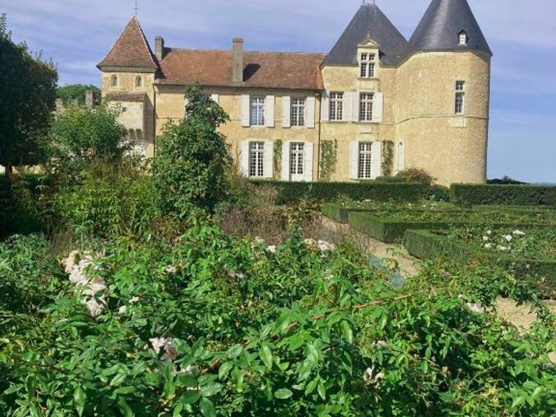 Les atypiquesの写真