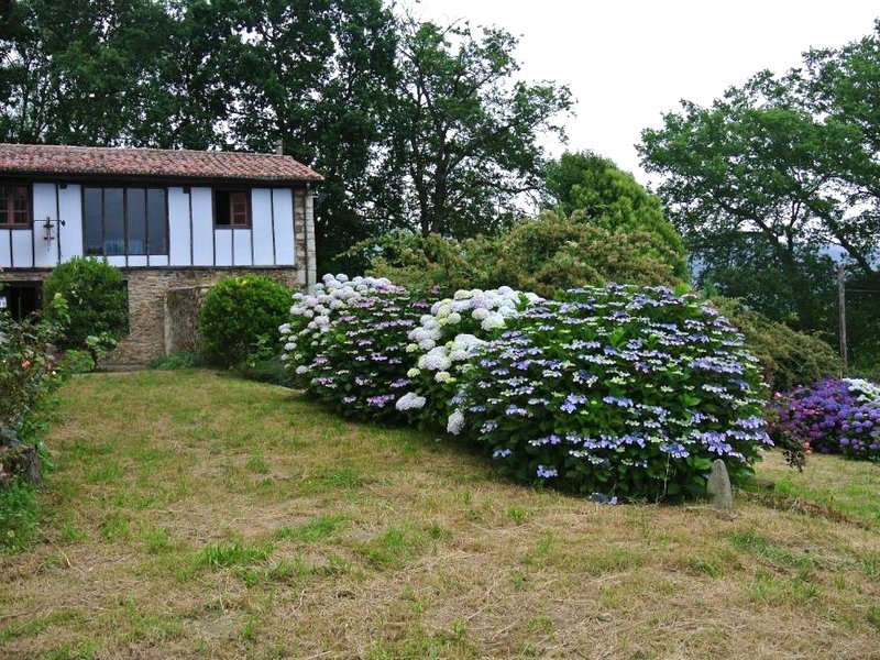 Hotel Rural El Algaireの写真