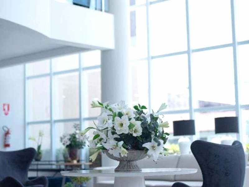 Bristol Infinity Rio Claroの写真