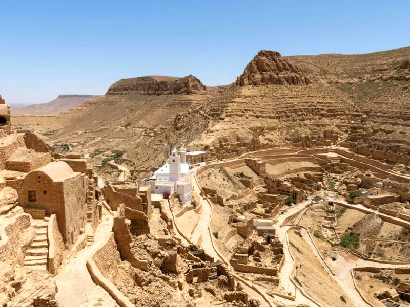 Le petit Mimosa - City Centerの写真