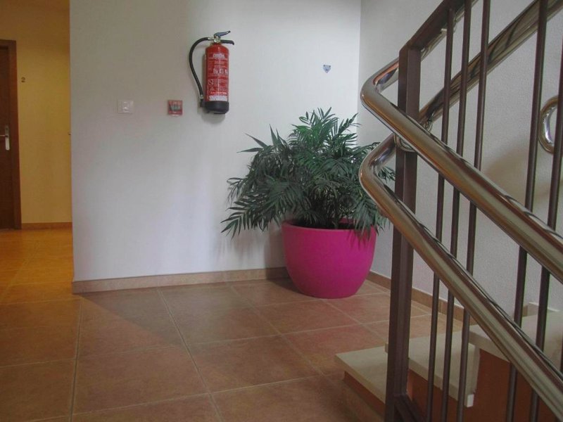 Hostal El Estudioの写真