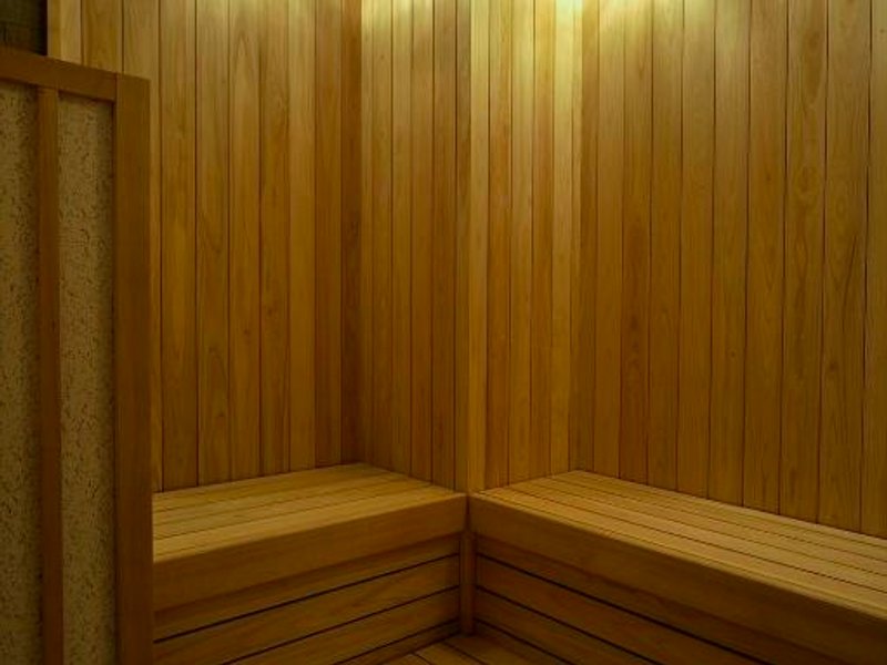 グリーンリッチホテル 岩国駅前 人工温泉 二股湯の華 (Green Rich Hotel Iwakuni Ekimae Artificial hot spring Futamata Yunohana)の写真