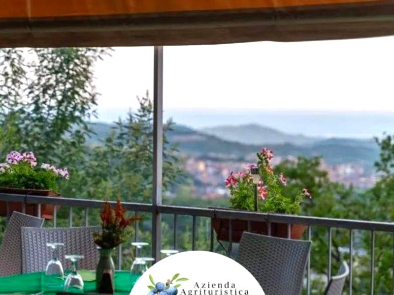 Azienda Agrituristica Le Prunelleの写真