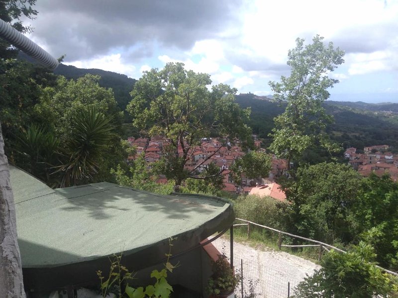 Azienda Agrituristica Le Prunelleの写真