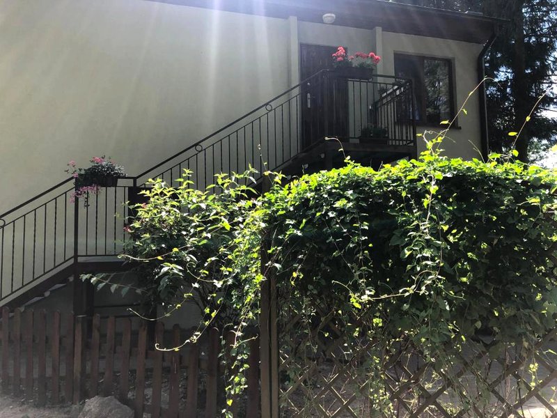 Domek pod świerkami 3 (Domek pod swierkami 3)の写真