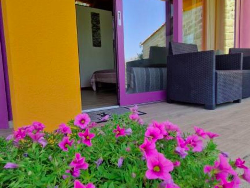 Limbara dreamingの写真