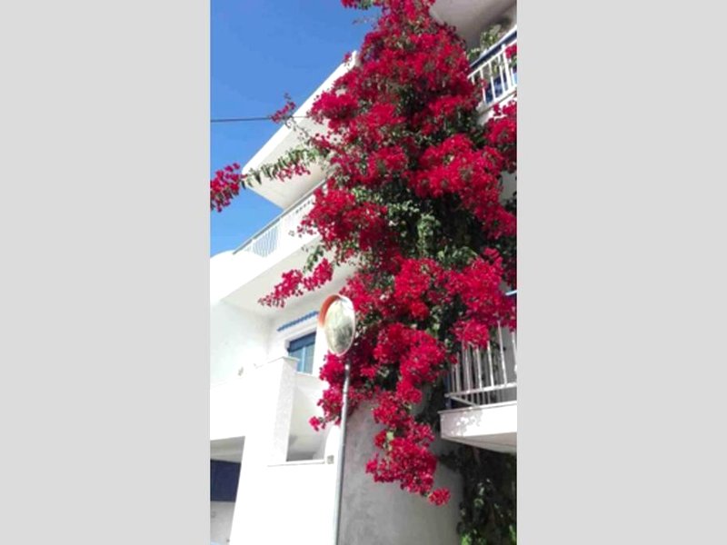 Naxos Aegean Philoxeniaの写真