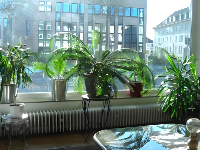 Hotel Solinger Hofの写真