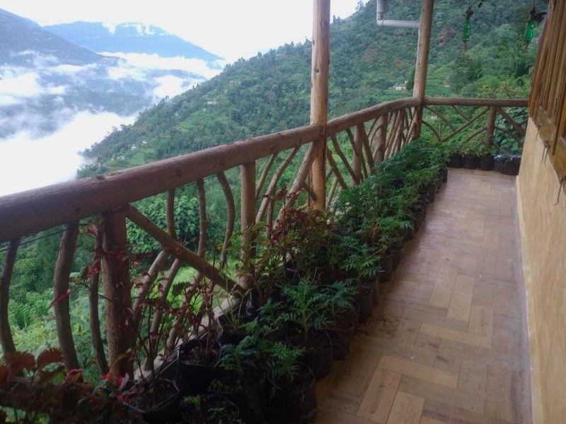 Grace Garden Homestayの写真