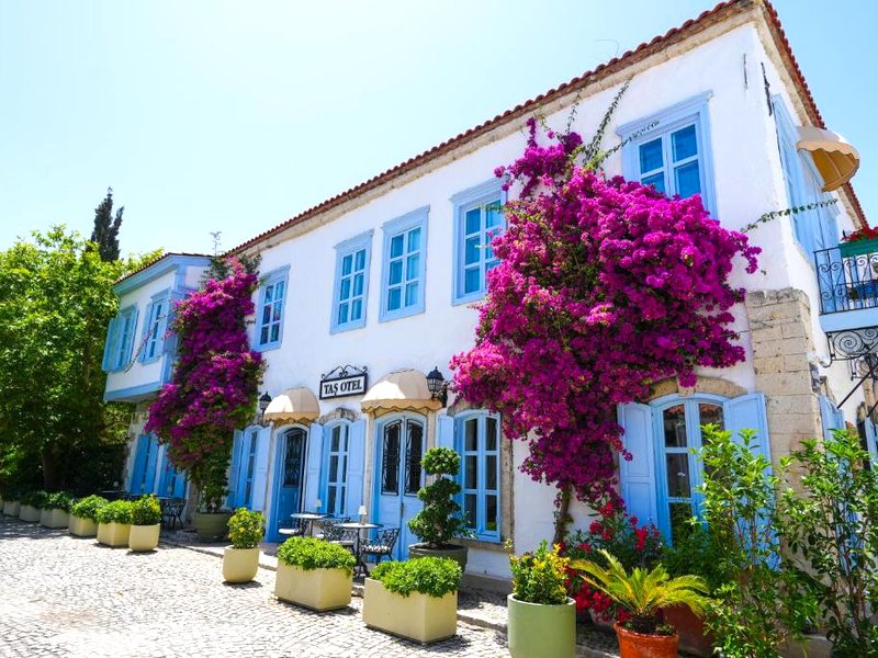 Alaçatı Taş Otel (Alacatı Tas Otel)の写真