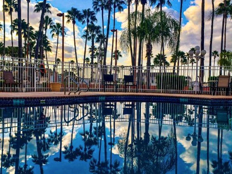 ビクトリア パームス イン アンド スイーツ (Victoria Palms Inn and Suites)の写真