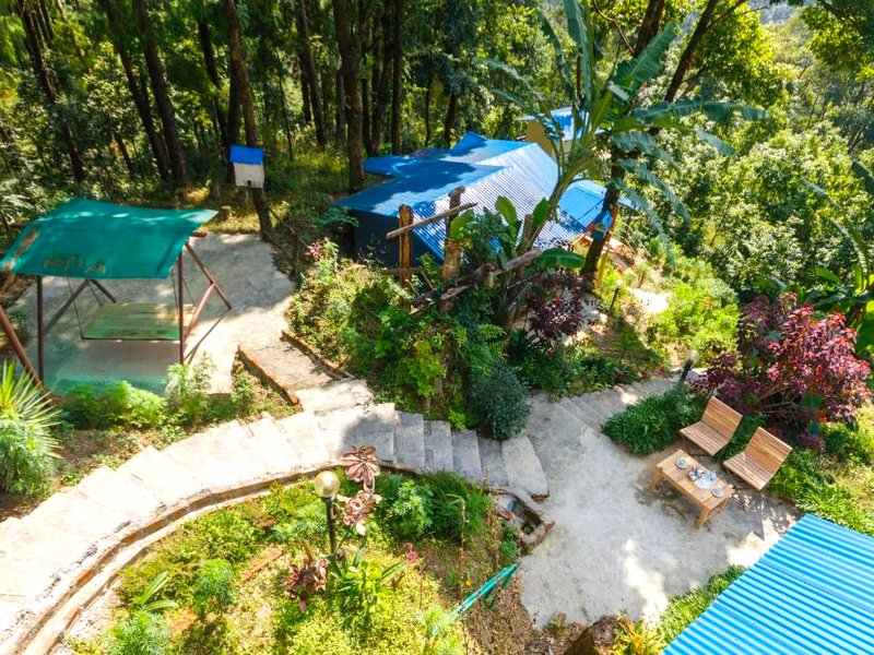 Jungle Crown Organic Homestayの写真