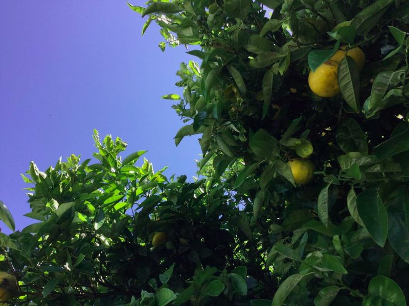 Martinborough Motelの写真