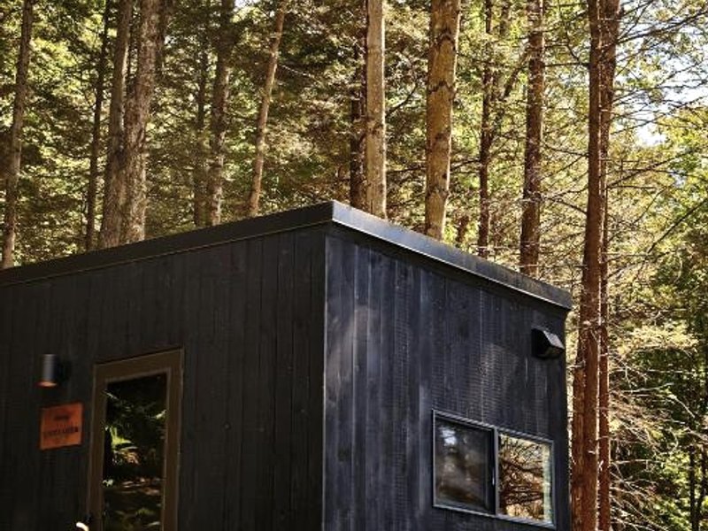 Postcard Cabins Piney Woodsの写真