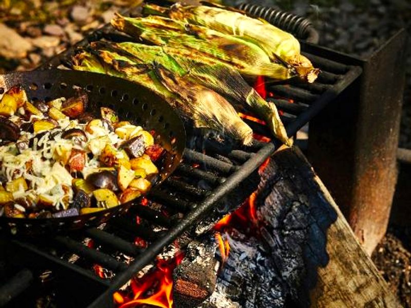 Postcard Cabins Piney Woodsの写真