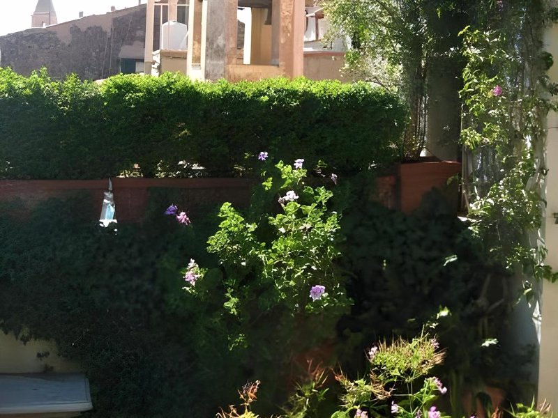 La Terrazza dei Pelargoni B&Bの写真