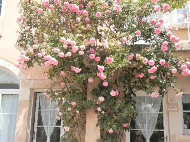 MAISON des FORGESの写真