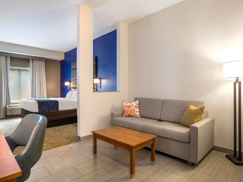 Comfort Suites Denham Springsの写真